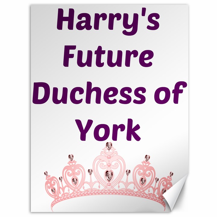 Harry s Duchess Canvas 36  x 48  