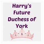 Harry s Duchess Medium Glasses Cloth Front