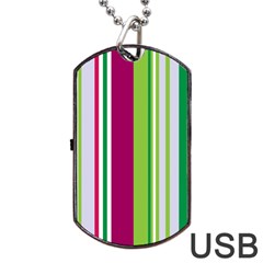 Beautiful Multi Colored Bright Stripes Pattern Wallpaper Background Dog Tag Usb Flash (one Side) by Amaryn4rt