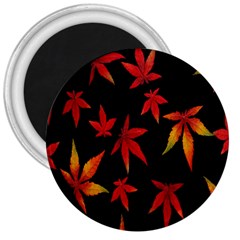 Colorful Autumn Leaves On Black Background 3  Magnets