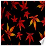 Colorful Autumn Leaves On Black Background Canvas 20  x 20   19 x19.27  Canvas - 1