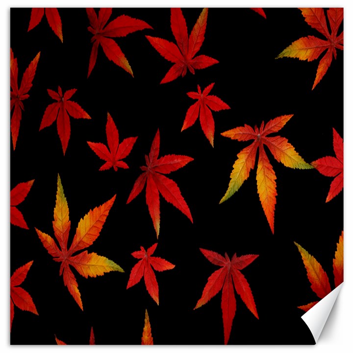 Colorful Autumn Leaves On Black Background Canvas 20  x 20  