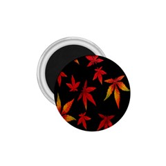 Colorful Autumn Leaves On Black Background 1 75  Magnets by Amaryn4rt