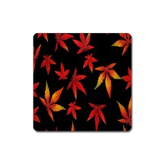 Colorful Autumn Leaves On Black Background Square Magnet by Amaryn4rt