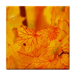 Bright Yellow Autumn Leaves Tile Coasters by Amaryn4rt