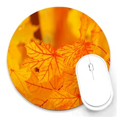 Bright Yellow Autumn Leaves Round Mousepads by Amaryn4rt