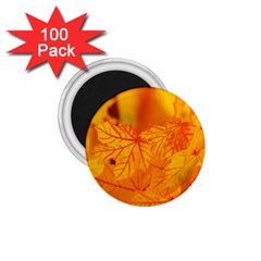 Bright Yellow Autumn Leaves 1 75  Magnets (100 Pack)  by Amaryn4rt