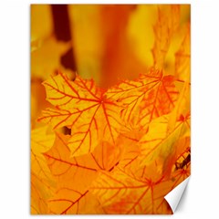 Bright Yellow Autumn Leaves Canvas 36  X 48   by Amaryn4rt