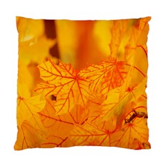 Bright Yellow Autumn Leaves Standard Cushion Case (two Sides) by Amaryn4rt