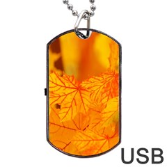 Bright Yellow Autumn Leaves Dog Tag Usb Flash (one Side) by Amaryn4rt