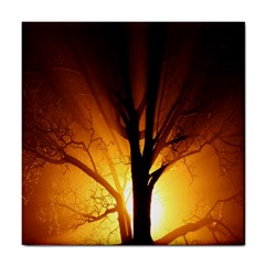 Rays Of Light Tree In Fog At Night Tile Coasters by Amaryn4rt