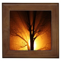 Rays Of Light Tree In Fog At Night Framed Tiles by Amaryn4rt