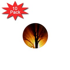 Rays Of Light Tree In Fog At Night 1  Mini Magnet (10 Pack)  by Amaryn4rt