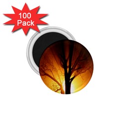 Rays Of Light Tree In Fog At Night 1 75  Magnets (100 Pack)  by Amaryn4rt