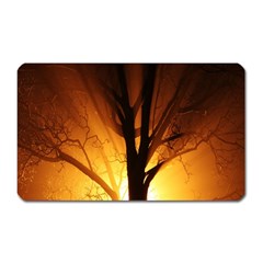 Rays Of Light Tree In Fog At Night Magnet (rectangular) by Amaryn4rt