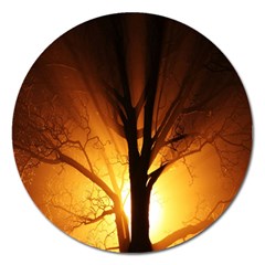 Rays Of Light Tree In Fog At Night Magnet 5  (round) by Amaryn4rt