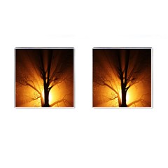 Rays Of Light Tree In Fog At Night Cufflinks (square) by Amaryn4rt