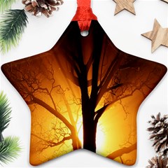 Rays Of Light Tree In Fog At Night Star Ornament (two Sides) by Amaryn4rt