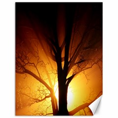 Rays Of Light Tree In Fog At Night Canvas 12  X 16   by Amaryn4rt