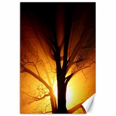 Rays Of Light Tree In Fog At Night Canvas 20  X 30   by Amaryn4rt