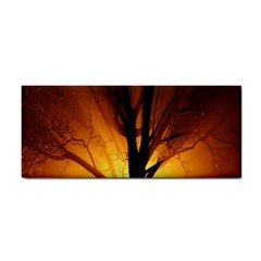 Rays Of Light Tree In Fog At Night Cosmetic Storage Cases by Amaryn4rt