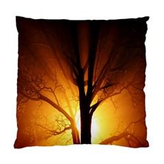 Rays Of Light Tree In Fog At Night Standard Cushion Case (one Side) by Amaryn4rt