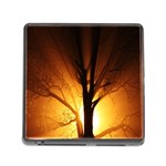 Rays Of Light Tree In Fog At Night Memory Card Reader (Square) Front