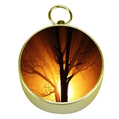 Rays Of Light Tree In Fog At Night Gold Compasses by Amaryn4rt