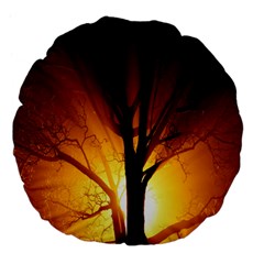 Rays Of Light Tree In Fog At Night Large 18  Premium Flano Round Cushions by Amaryn4rt