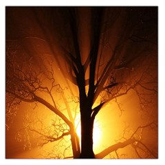 Rays Of Light Tree In Fog At Night Large Satin Scarf (square) by Amaryn4rt