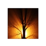 Rays Of Light Tree In Fog At Night Satin Bandana Scarf Front