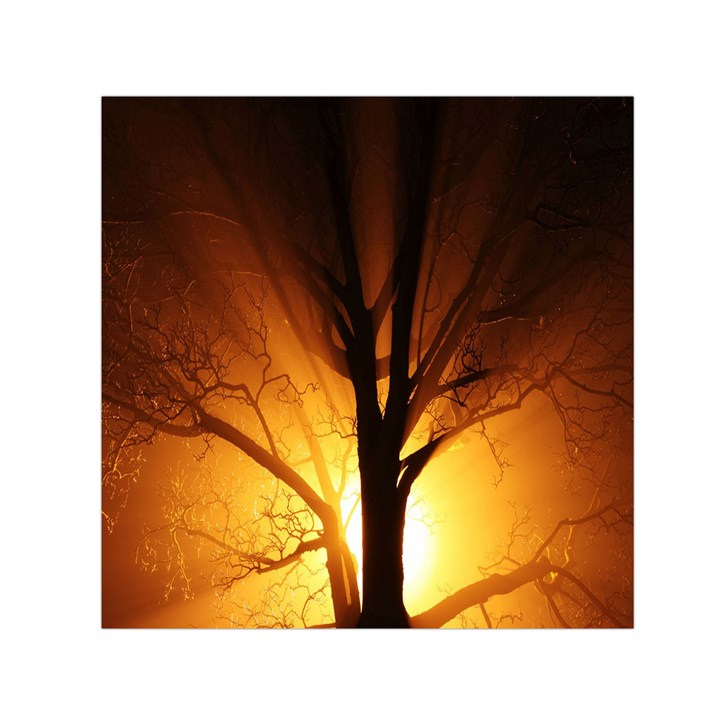 Rays Of Light Tree In Fog At Night Small Satin Scarf (Square)