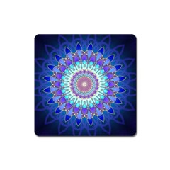 Power Flower Mandala   Blue Cyan Violet Square Magnet by EDDArt