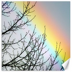 Rainbow Sky Spectrum Rainbow Colors Canvas 20  X 20   by Amaryn4rt