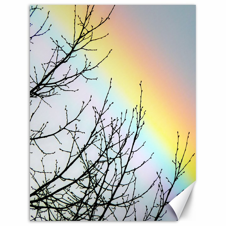 Rainbow Sky Spectrum Rainbow Colors Canvas 18  x 24  