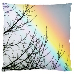 Rainbow Sky Spectrum Rainbow Colors Large Cushion Case (one Side) by Amaryn4rt