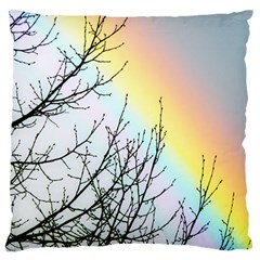 Rainbow Sky Spectrum Rainbow Colors Standard Flano Cushion Case (two Sides) by Amaryn4rt