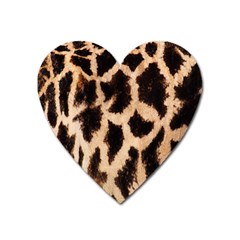 Yellow And Brown Spots On Giraffe Skin Texture Heart Magnet by Amaryn4rt