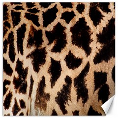 Yellow And Brown Spots On Giraffe Skin Texture Canvas 12  X 12   by Amaryn4rt