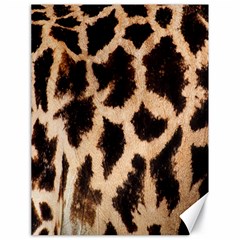 Yellow And Brown Spots On Giraffe Skin Texture Canvas 18  X 24   by Amaryn4rt