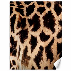 Yellow And Brown Spots On Giraffe Skin Texture Canvas 36  X 48   by Amaryn4rt