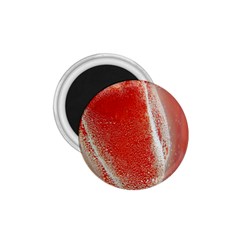 Red Pepper And Bubbles 1 75  Magnets by Amaryn4rt