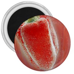 Red Pepper And Bubbles 3  Magnets by Amaryn4rt