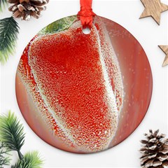 Red Pepper And Bubbles Ornament (round) by Amaryn4rt