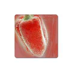 Red Pepper And Bubbles Square Magnet by Amaryn4rt