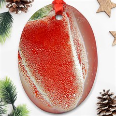 Red Pepper And Bubbles Oval Ornament (two Sides) by Amaryn4rt