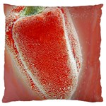 Red Pepper And Bubbles Large Cushion Case (Two Sides) Front