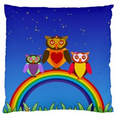 Owls Rainbow Animals Birds Nature Standard Flano Cushion Case (two Sides)