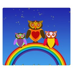 Owls Rainbow Animals Birds Nature Double Sided Flano Blanket (small)  by Amaryn4rt