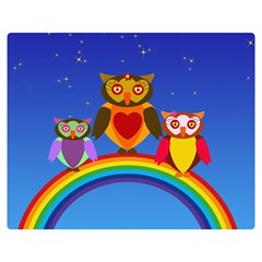 Owls Rainbow Animals Birds Nature Double Sided Flano Blanket (medium)  by Amaryn4rt